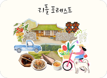 모션 그래픽